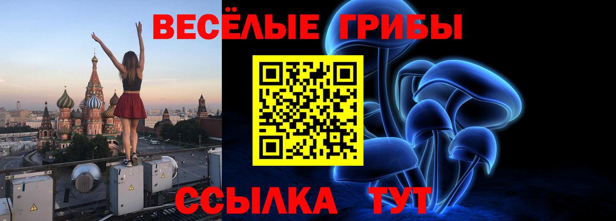 Псилоцибиновые грибы GOLDEN TEACHER Балабаново